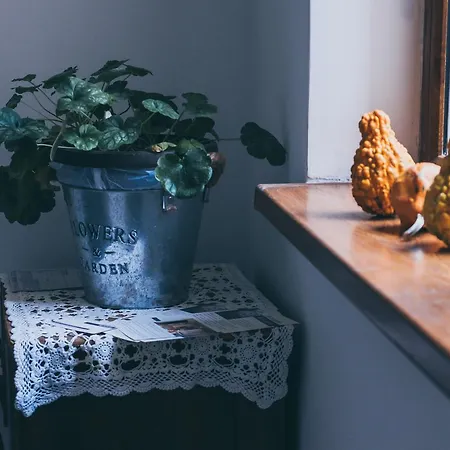 Aleko * Sofia